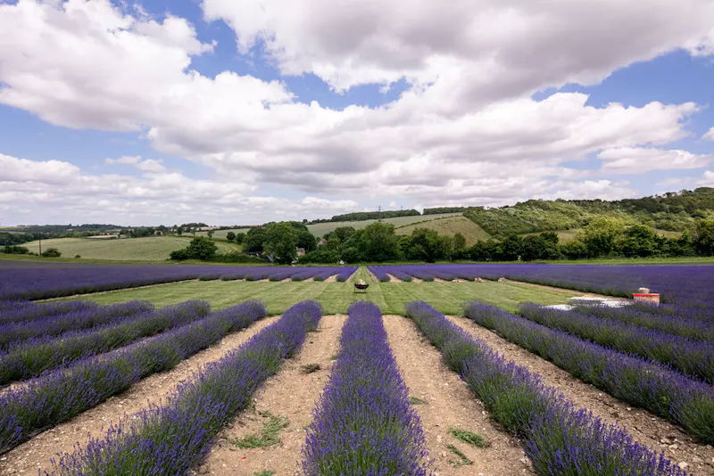 Picturesque Kent farmhouse, L749 (photo 25)