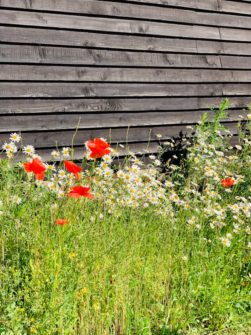 Eynsford Barn, L746 (photo 26)