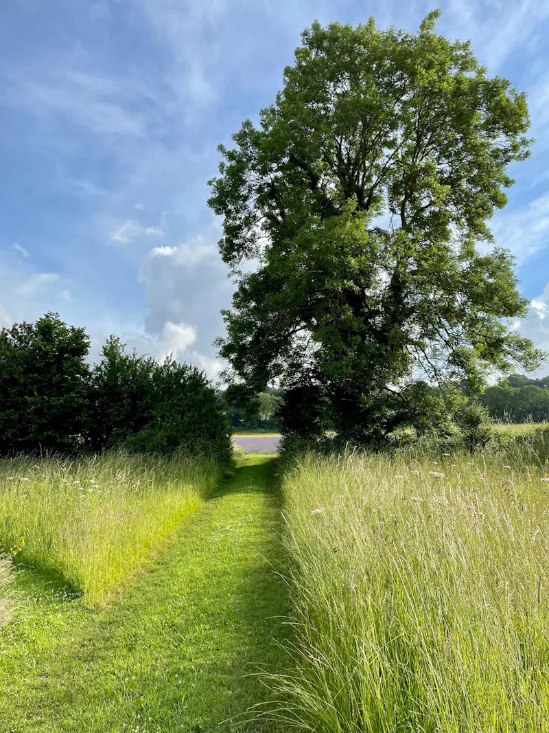 Eynsford Barn, L746 (photo 12)