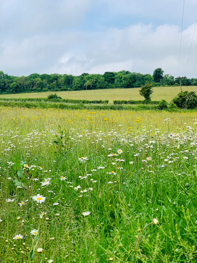 Countryside at Eynsford Barn, L746 (photo 9)