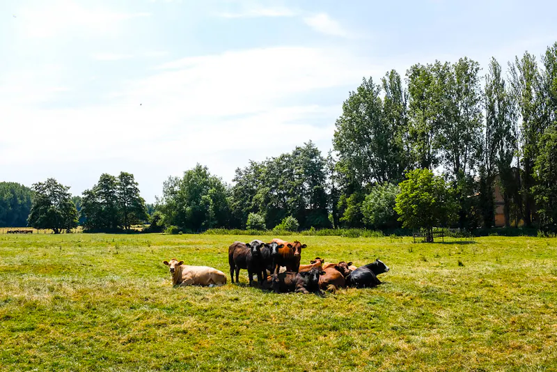 Eynsford farm, L747 (photo 11)