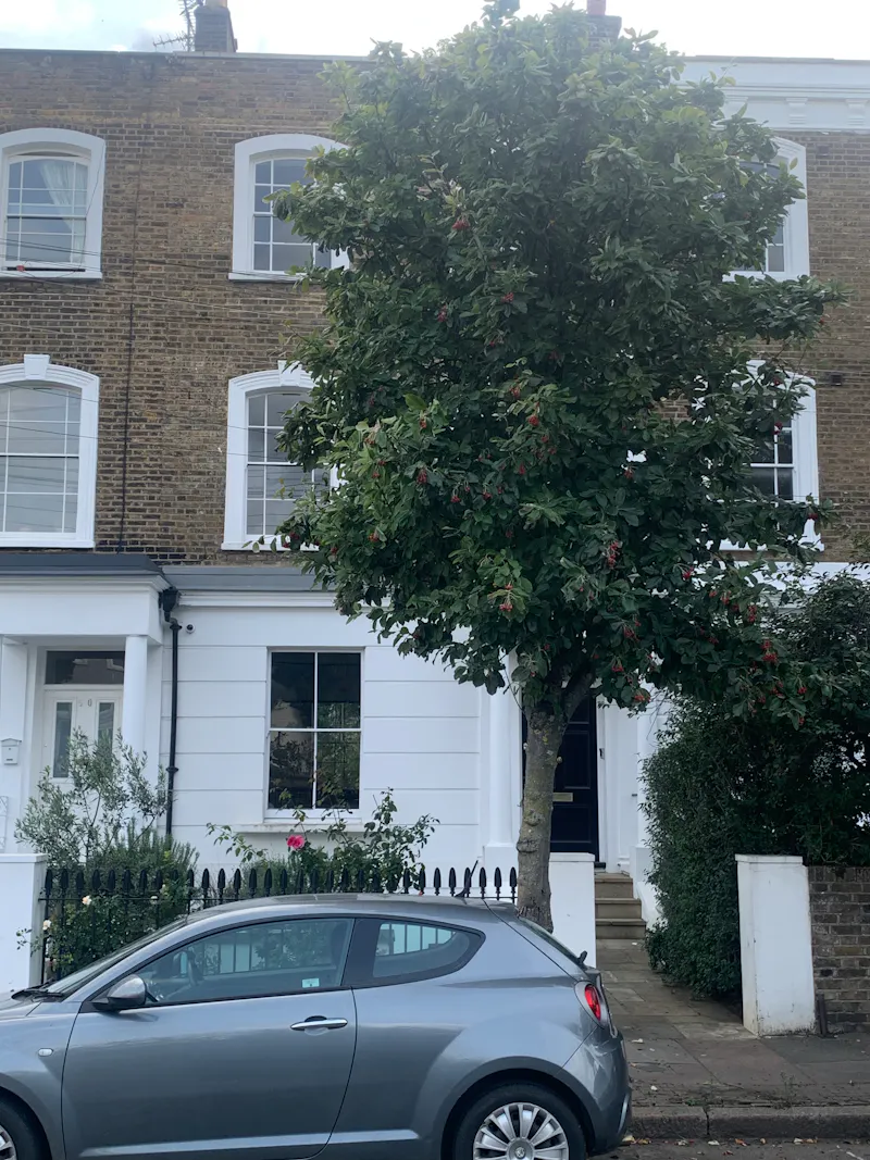 Canonbury Victorian Terrace, B2004 (photo 36)