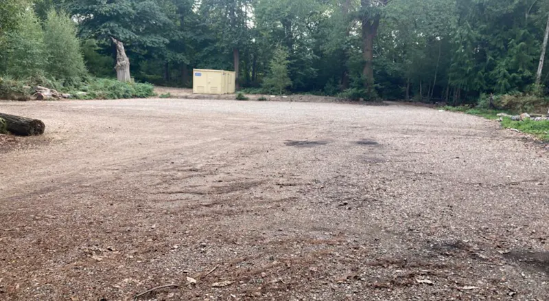 Chertsey Woodland, N529 (photo 8)