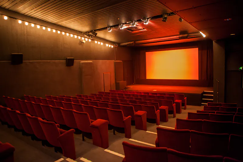 Home cinema at Spacious venue and theatre, P598 (photo 12)