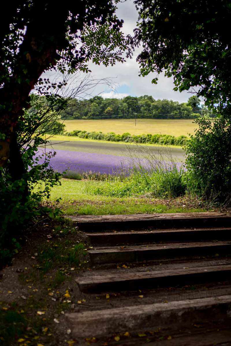 Picturesque Kent farmhouse, L749 (photo 28)