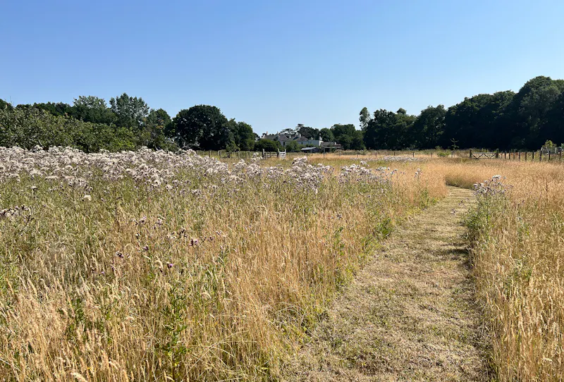 Countryside at Canterbury cottage , C934 (photo 39)