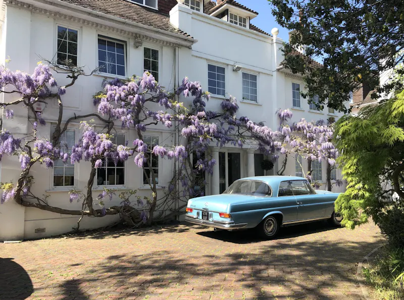 Roehampton modern mansion, D2382 (photo 66)