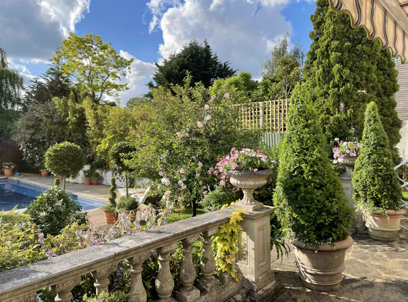 Roehampton modern mansion, D2382 (photo 60)