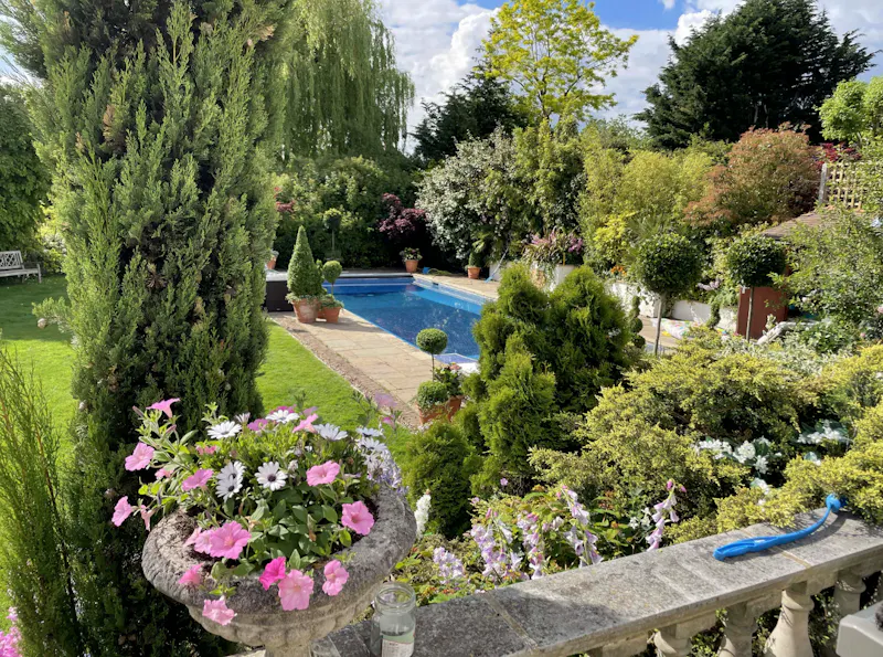 Garden at Roehampton modern mansion, D2382 (photo 61)