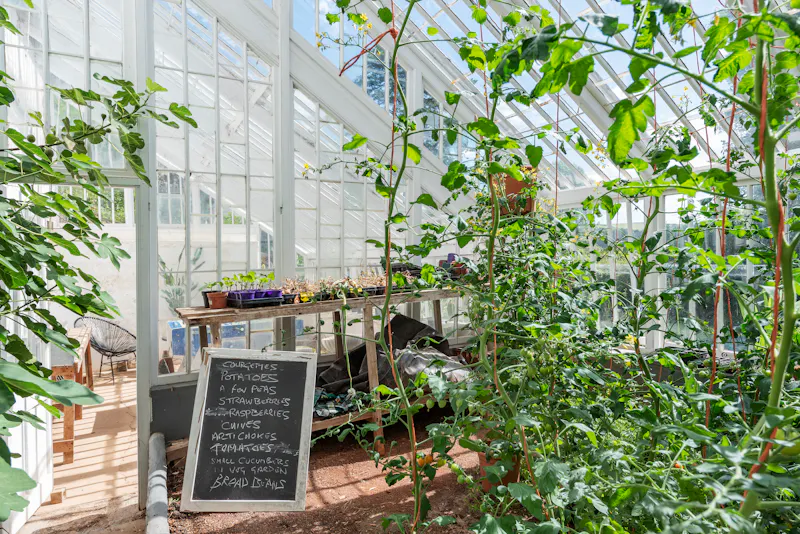 Greenhouse at Shoot and stay Salcombe home, E416 (photo 39)