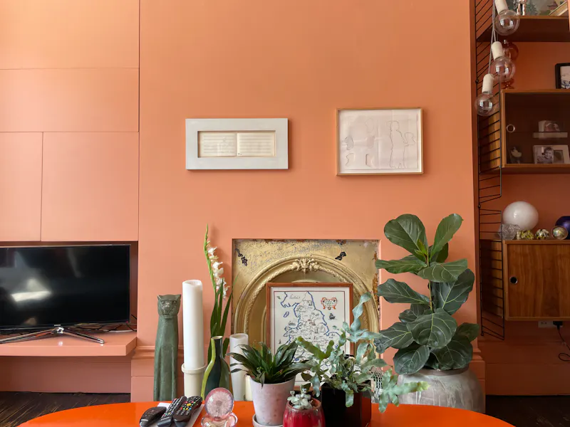 Architectural Hackney house, B2005 (photo 4)