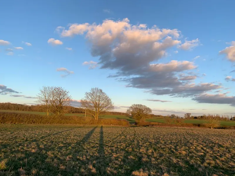 Views - country at Audley End rural house, D1059 (photo 23)