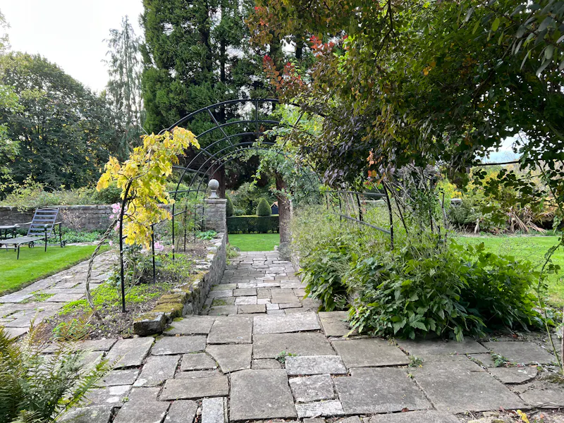 Garden - wild at High Wycombe house, D2690 (photo 46)