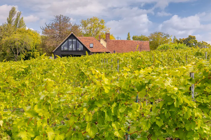 Stansted Manor House & Vineyard, H189 (photo 16)