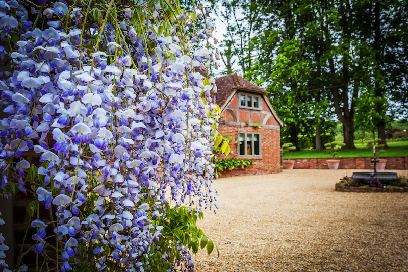 Stylish Witley barn conversion, L656 (photo 82)