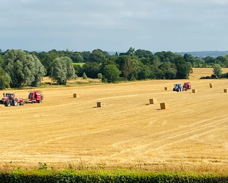 Film location C849 in Essex (photo 31)