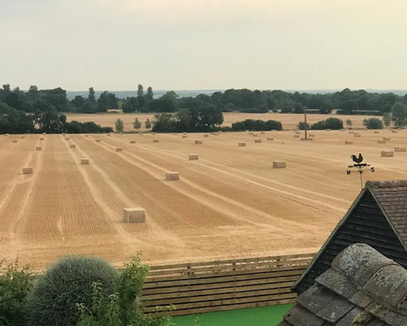 Film location C849 in Essex (photo 37)
