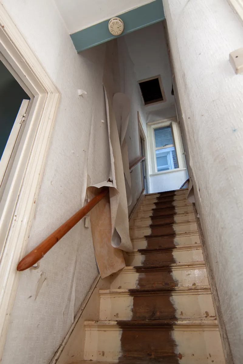 Derelict Leytonstone house, B2007 (photo 6)