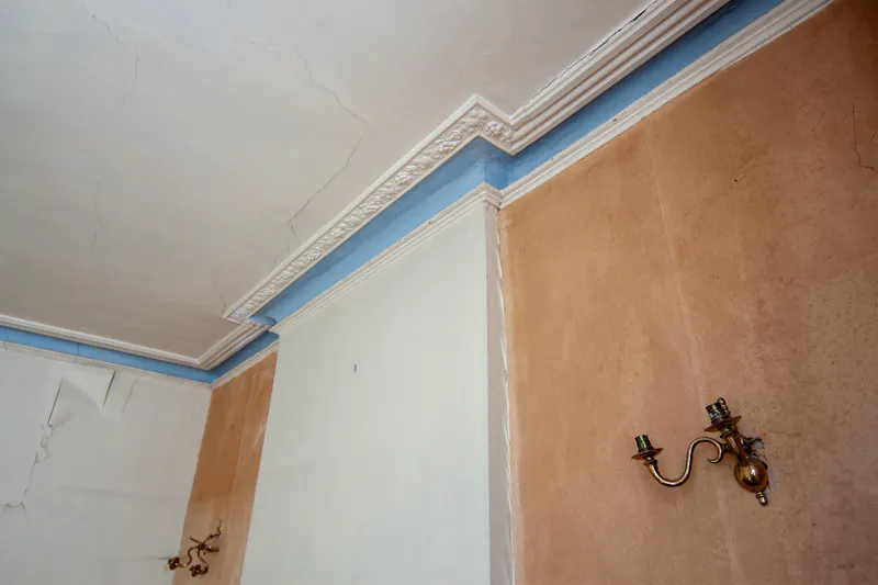 Derelict Leytonstone house, B2007 (photo 19)