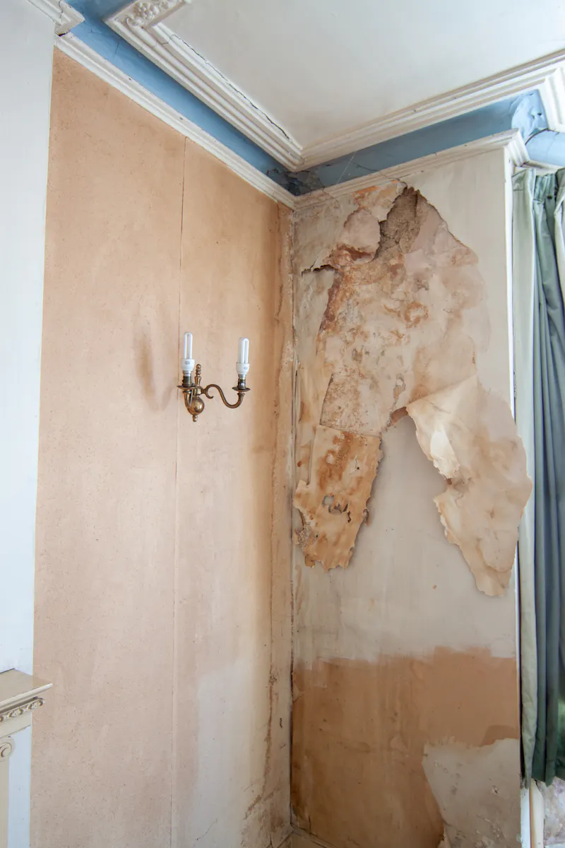 Derelict Leytonstone house, B2007 (photo 5)