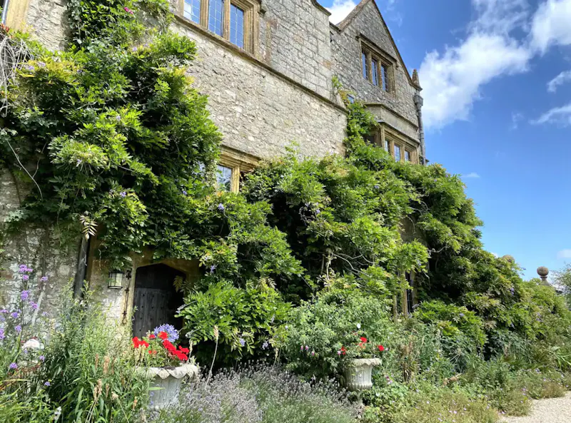 Crewkerne grande manor house, H1013 (photo 78)