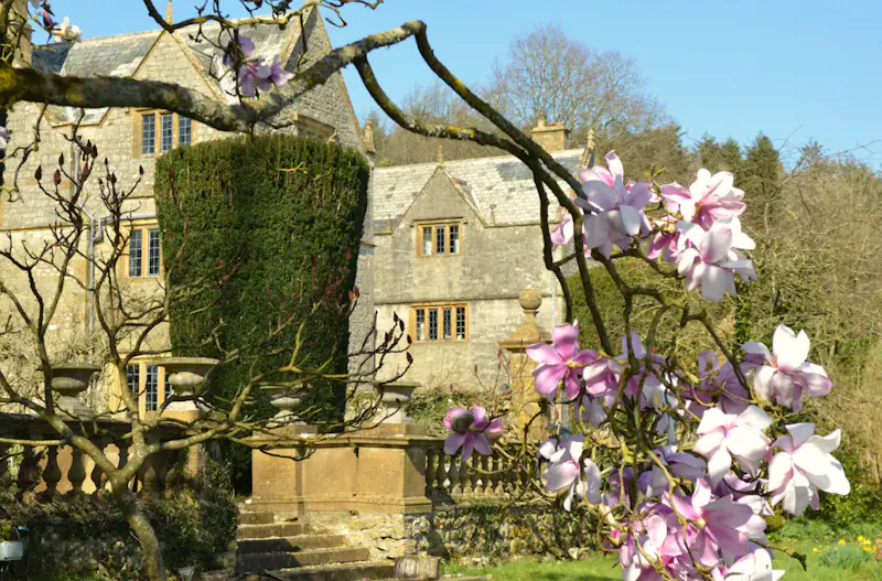 Crewkerne grande manor house, H1013 (photo 79)