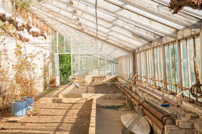 Greenhouse at Walkern Mansion, B2009 (photo 38)