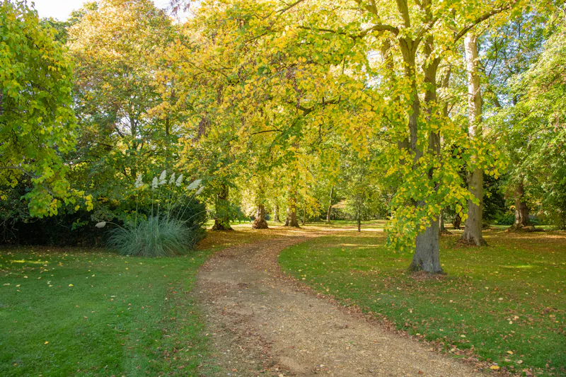 Walkern Mansion, B2009 (photo 61)