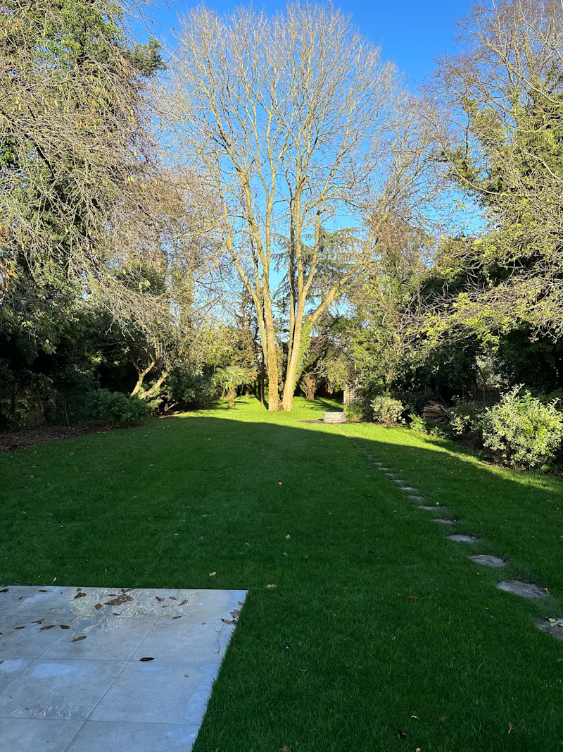Garden at Modern Mill Hill house, D2695 (photo 19)