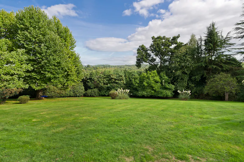 Countryside at Surrey Hills country house, D2703 (photo 35)