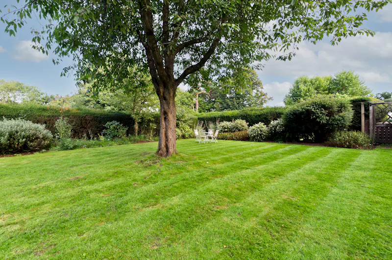 Garden at Surrey Hills country house, D2703 (photo 39)