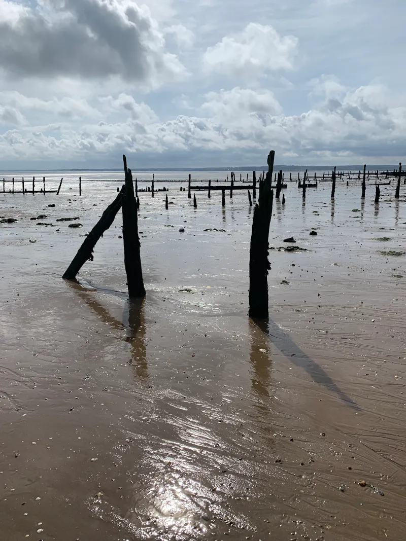 Seaside Sheppey cabin, C936 (photo 22)