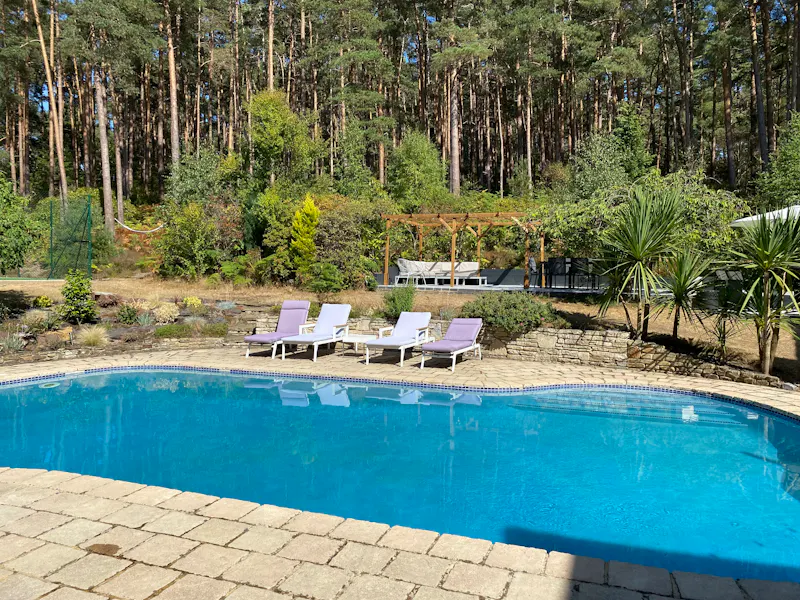 Swimming pool - outdoor at 1920s Farnham house, D2697 (photo 20)