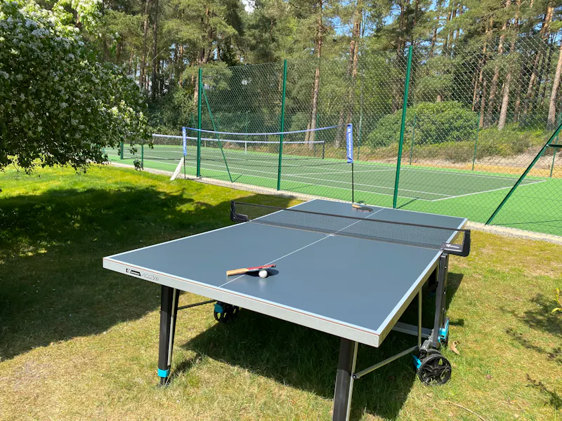 Tennis court at 1920s Farnham house, D2697 (photo 19)