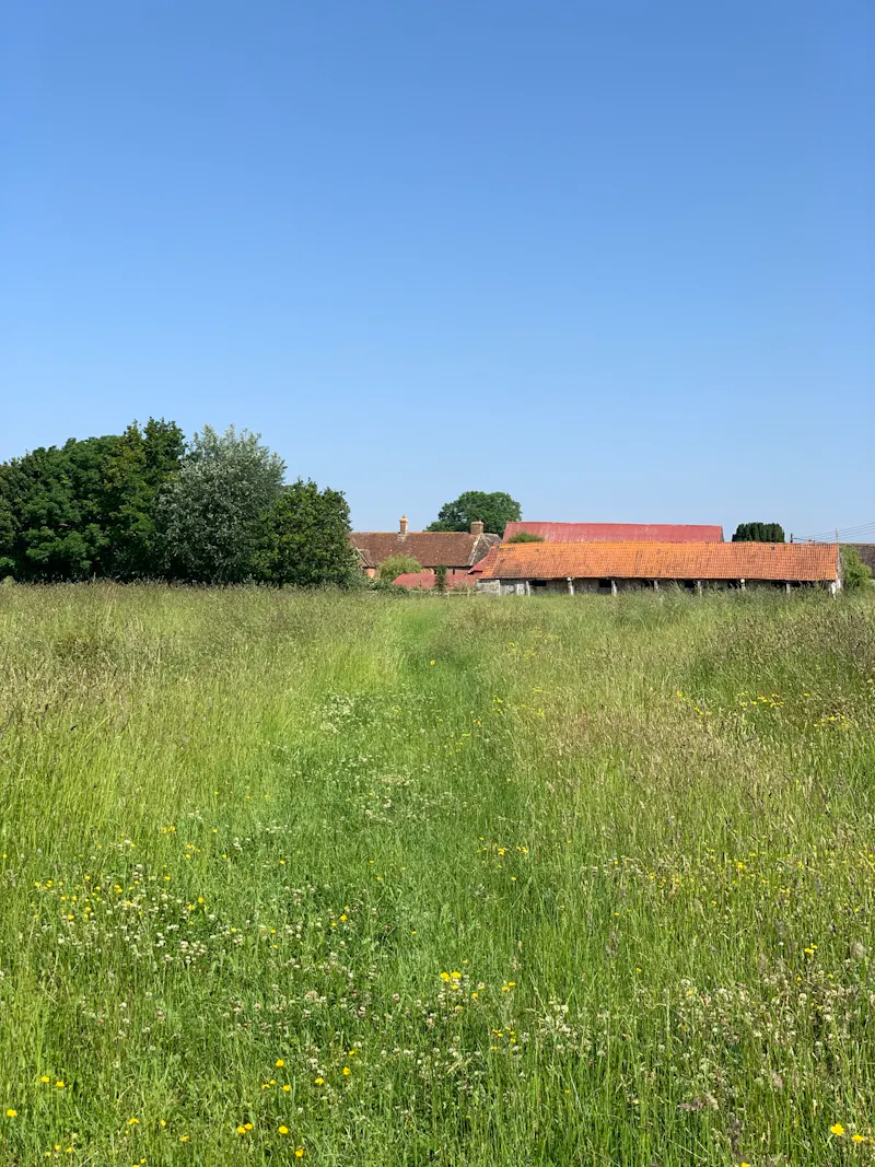 Langport manor house, H190 (photo 71)