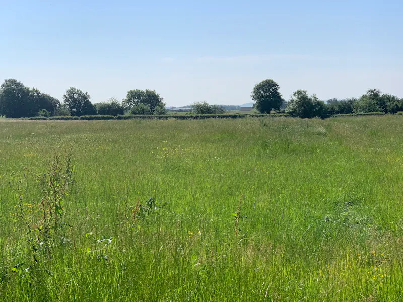 Countryside at Langport manor house, H190 (photo 74)