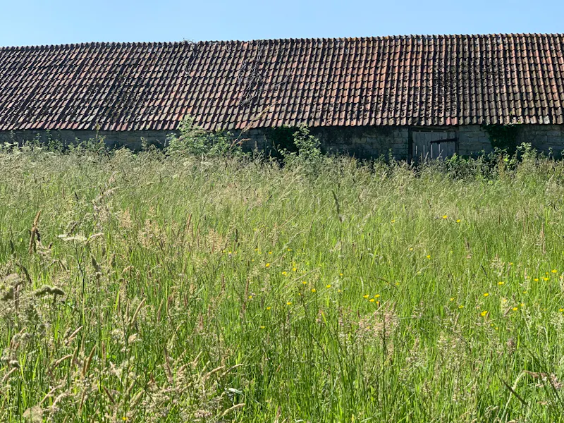 Langport manor house, H190 (photo 155)
