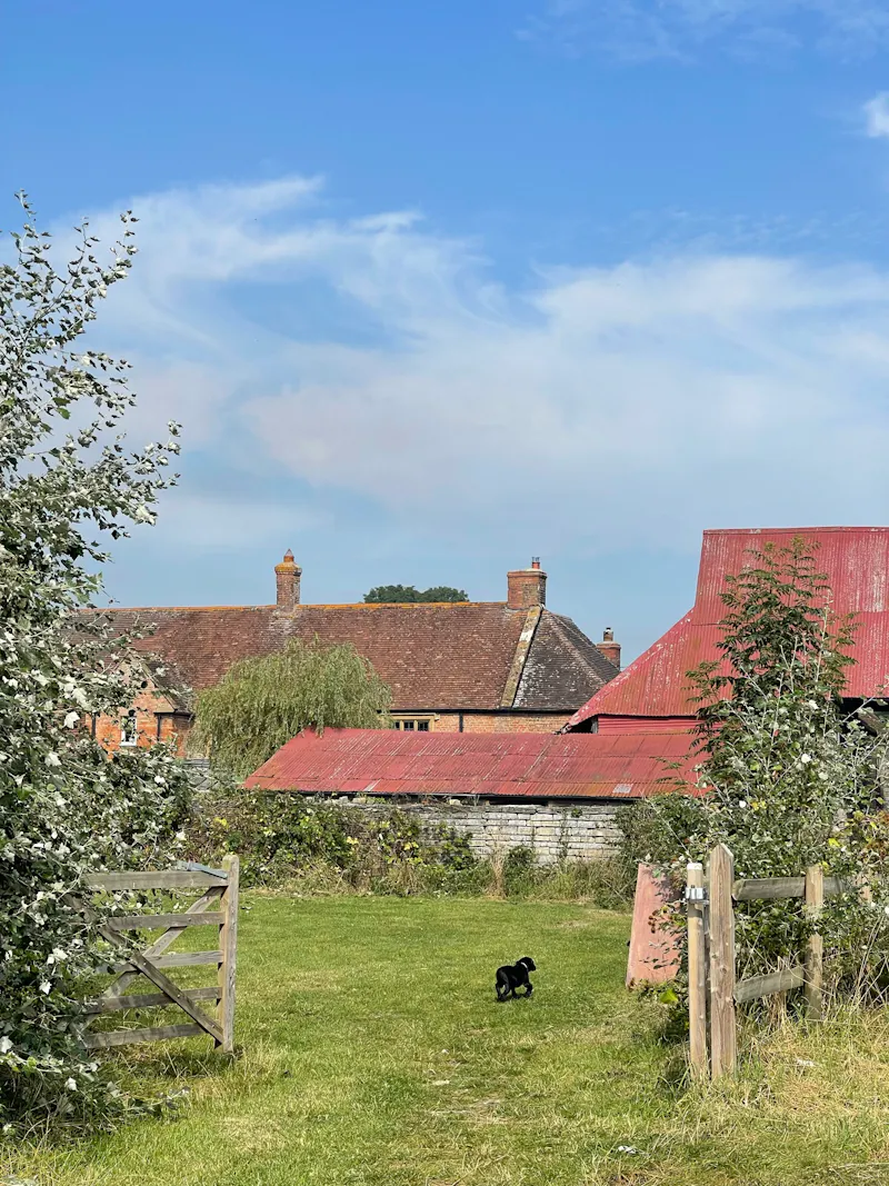 Langport manor house, H190 (photo 117)