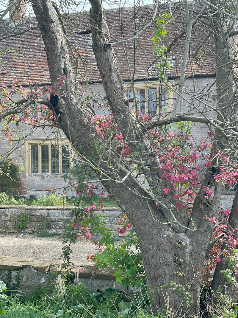 Langport manor house, H190 (photo 153)