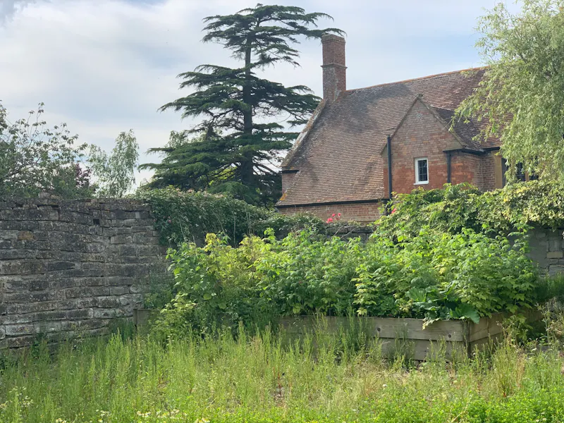 Langport manor house, H190 (photo 149)