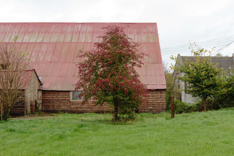Langport manor house, H190 (photo 78)