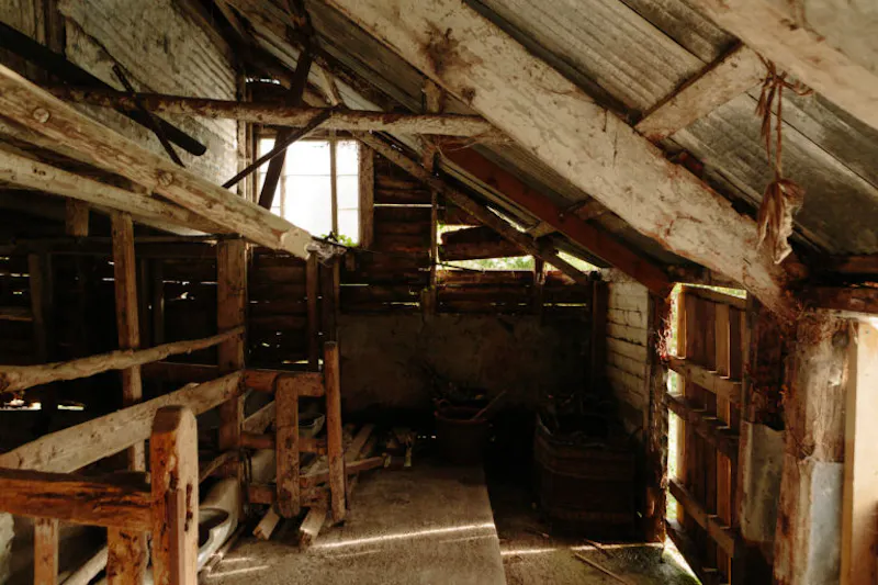 Langport manor house, H190 (photo 103)