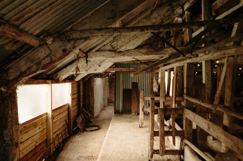Langport manor house, H190 (photo 105)