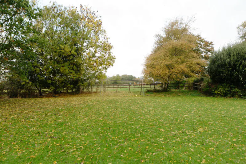 Woodland at Langport manor house, H190 (photo 125)