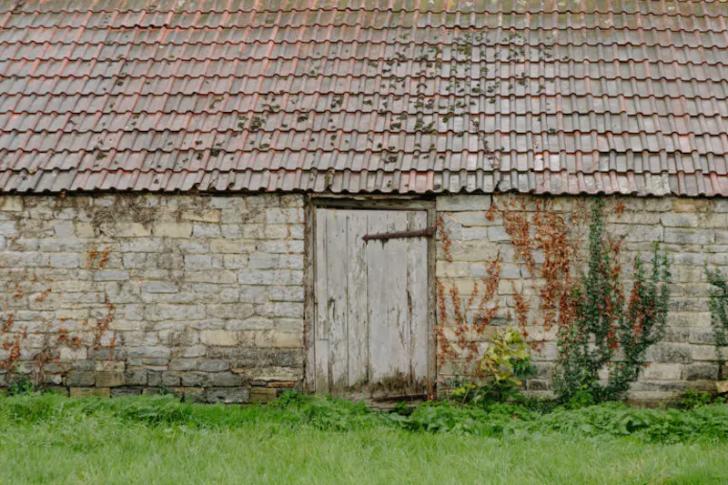 Langport manor house, H190 (photo 133)
