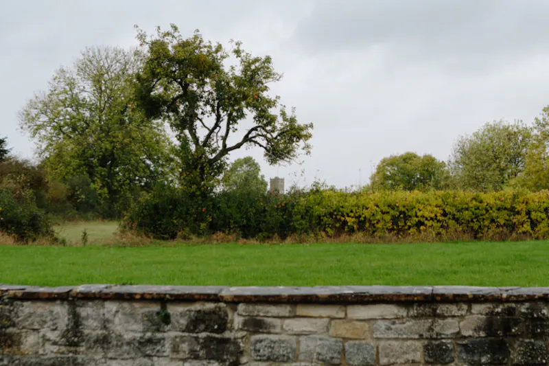 Langport manor house, H190 (photo 120)