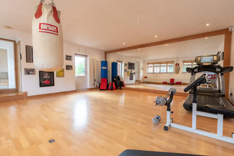 Potters Bar modern mansion, D2702 (photo 20)