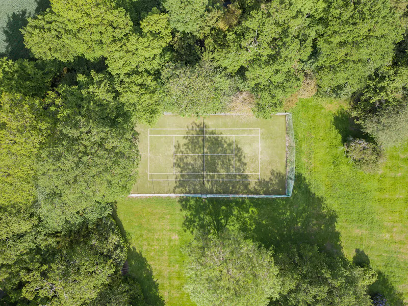 Woodland at Potters Bar modern mansion, D2702 (photo 54)
