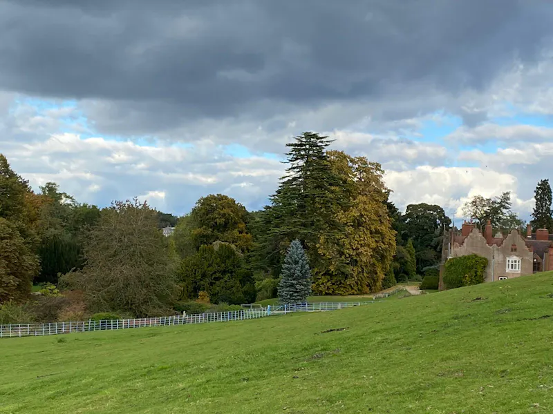 Woodland at Womborne country house, B2011 (photo 26)