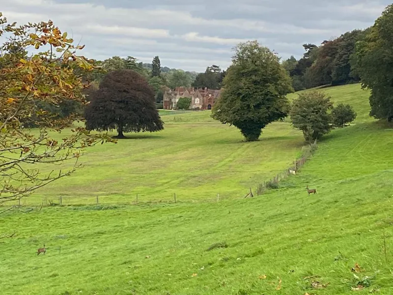 Womborne country house, B2011 (photo 23)